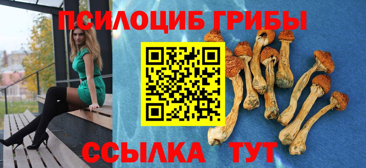 Псилоцибиновые грибы прущие грибы Мариинск