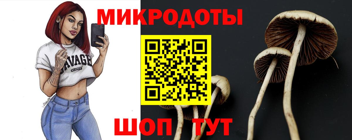 Мариинск  Галлюциногенные грибы GOLDEN TEACHER  где продают   Вход с VPN 